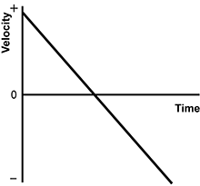 velocity versus time graph