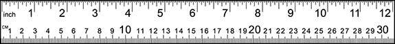 ruler consisting of twelve inches and thirty centimeters