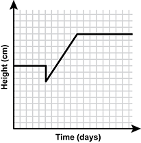 coordinate plane for response A